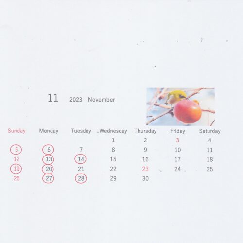11月営業カレンダー♪ サムネイル